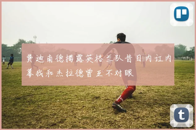 费迪南德揭露英格兰队昔日内讧内幕我和杰拉德曾互不对眼