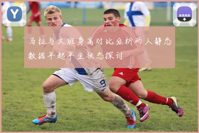 马拉与文班身高对比分析两人静态数据平起平坐状态探讨