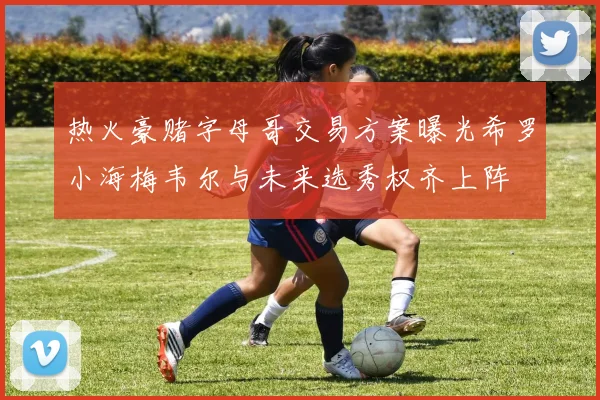 热火豪赌字母哥交易方案曝光希罗小海梅韦尔与未来选秀权齐上阵