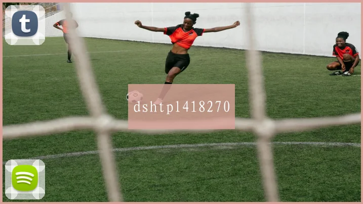 dshtpl418270