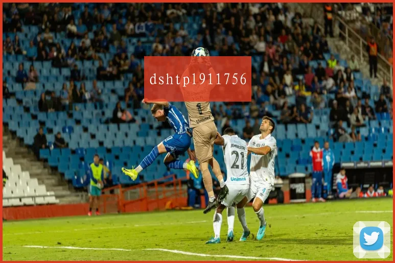 dshtpl911756